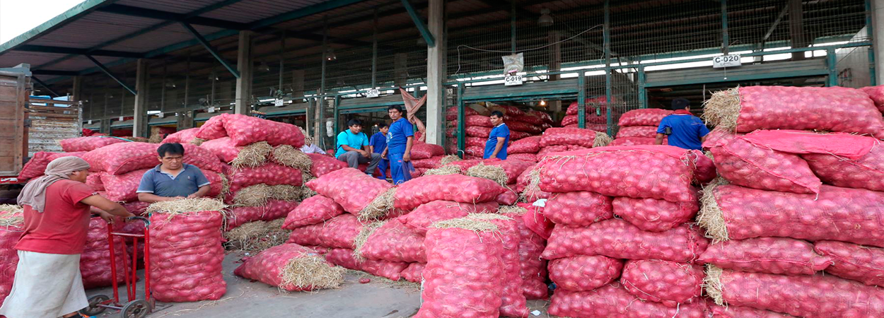 Ingresaron más de 8,700 toneladas de alimentos a mercados mayoristas