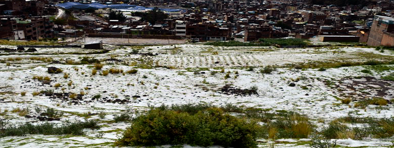 EMERGENCIA | Fuertes lluvias afectaron 56 mil hectáreas de cultivos en Puno