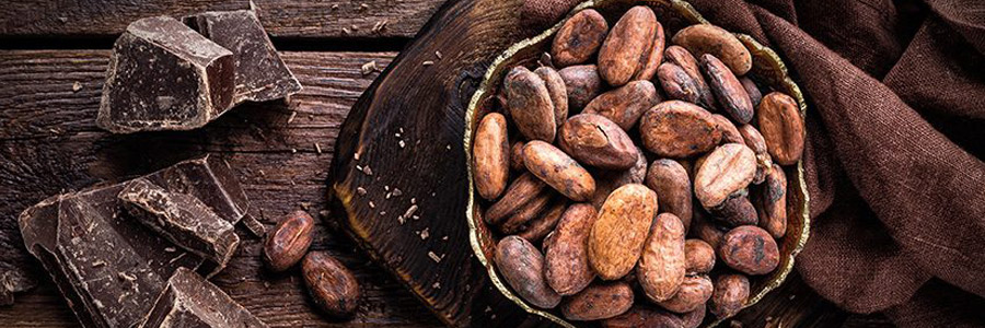 El Cacao es el mejor producto en el Perú