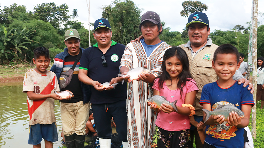 Municipalidad de Megantoni, ejecuta Proyecto peces amazónicos en la CC.NN de Kochiri.