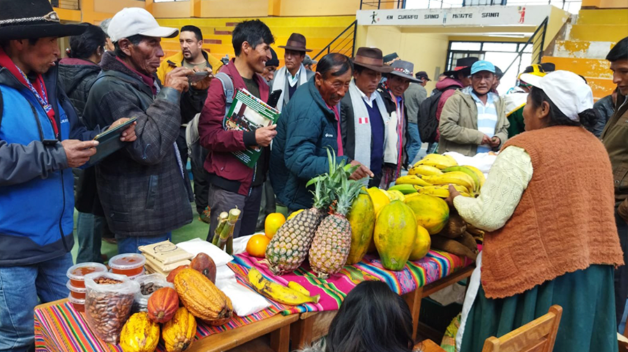 Distrito de Kosñipata, celebra sus 60 aniversario con XIV Feria agricola y turistica 2022