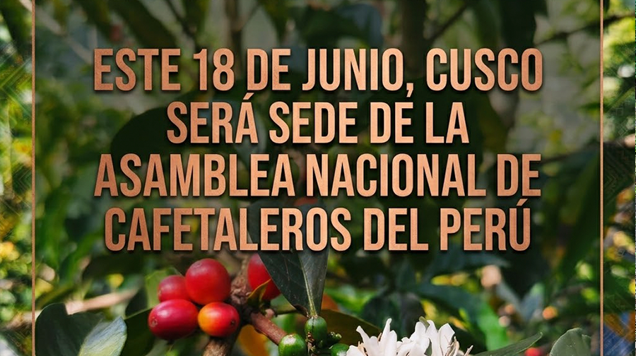 Cafetaleros de todo el Perú se reunirán en Cusco 
