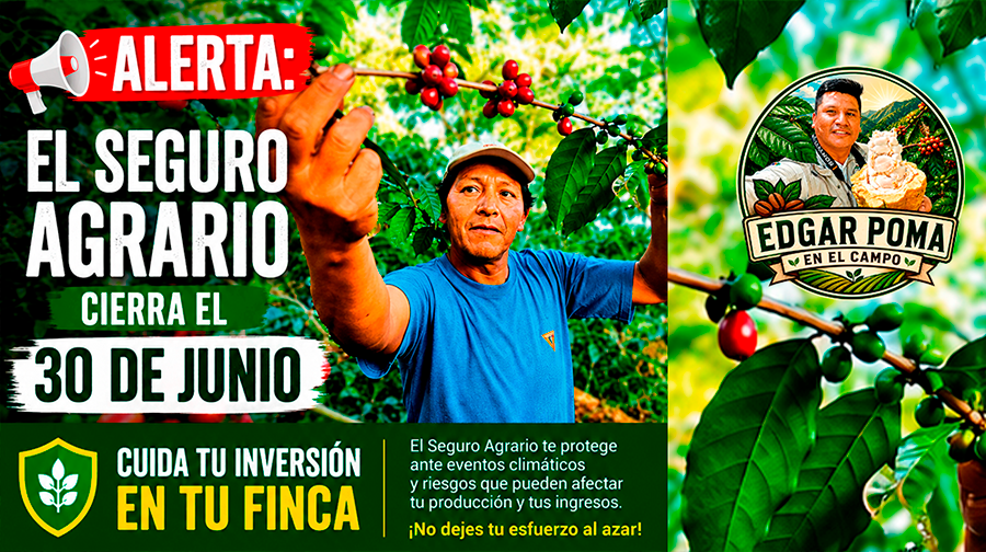 ¡alerta en el campo! el seguro agrario gratuito cierra este 30 de junio