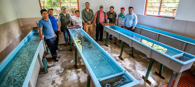 Cusco: Municipalidad de Echarati, Inauguro segundo Modulo de Re incubación de ovas de Truchas.