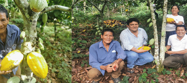 Cacaoteros de Echarati, proyectan uniÃ³n de asociaciones para exportaciÃ³n