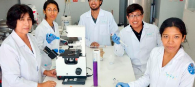 UNMSM revoluciona la investigación en alpacas con microscopio confocal
