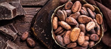 El Cacao es el mejor producto en el PerÃº
