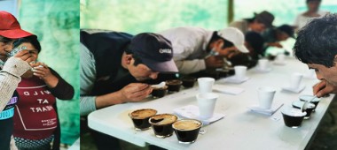 AICASA,Imparte conocimientos en catacion de cafÃ©, en campo.