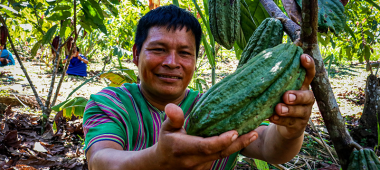 Lluvias en la Amazonía impulsan la campaña agrícola 2024-2025