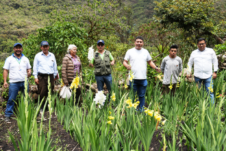 Cusco: Municipalidad distrital de Huayopata, Impulsa proyecto flores