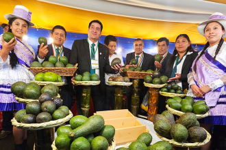 III Festival Nacional de la Palta en Limatambo supero expectativas