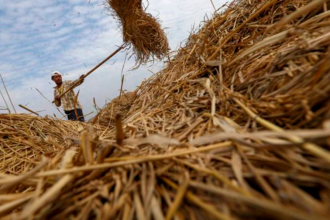 Arequipa: Conferencias para Reducir la Quema de Pajilla de Arroz