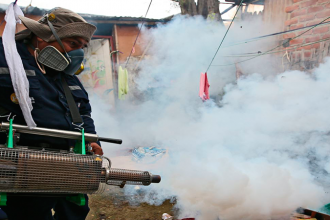 Nuevo genotipo del dengue agravaría epidemia en nuestro país