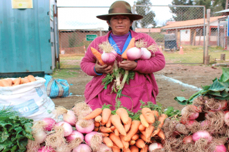 PARURO: Municipalidad de Ccapi impulsara la agricultura familiar con entrega de semillas agrícolas.