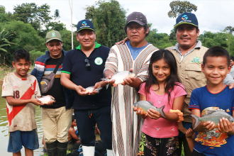 Municipalidad de Megantoni, ejecuta Proyecto peces amazónicos en la CC.NN de Kochiri.