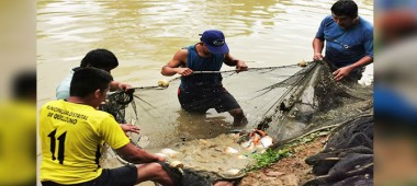 En Perú, el 86 % de empresas acuícolas son informales, según Produce